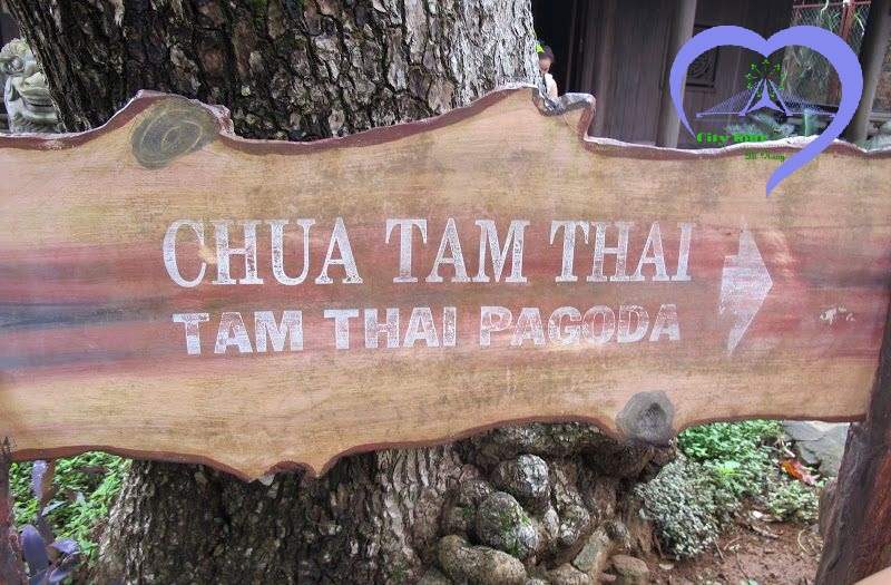 Lịch sử hình thành chùa Tam Thai tại Ngũ Hành Sơn